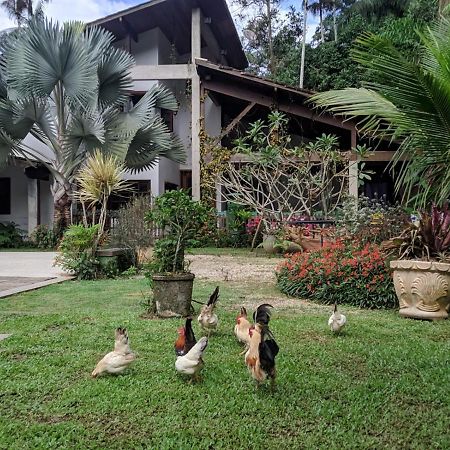 Casa Na Floresta Διαμέρισμα Penedo  Εξωτερικό φωτογραφία