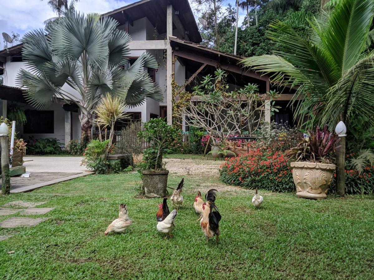 Casa Na Floresta Διαμέρισμα Penedo  Εξωτερικό φωτογραφία