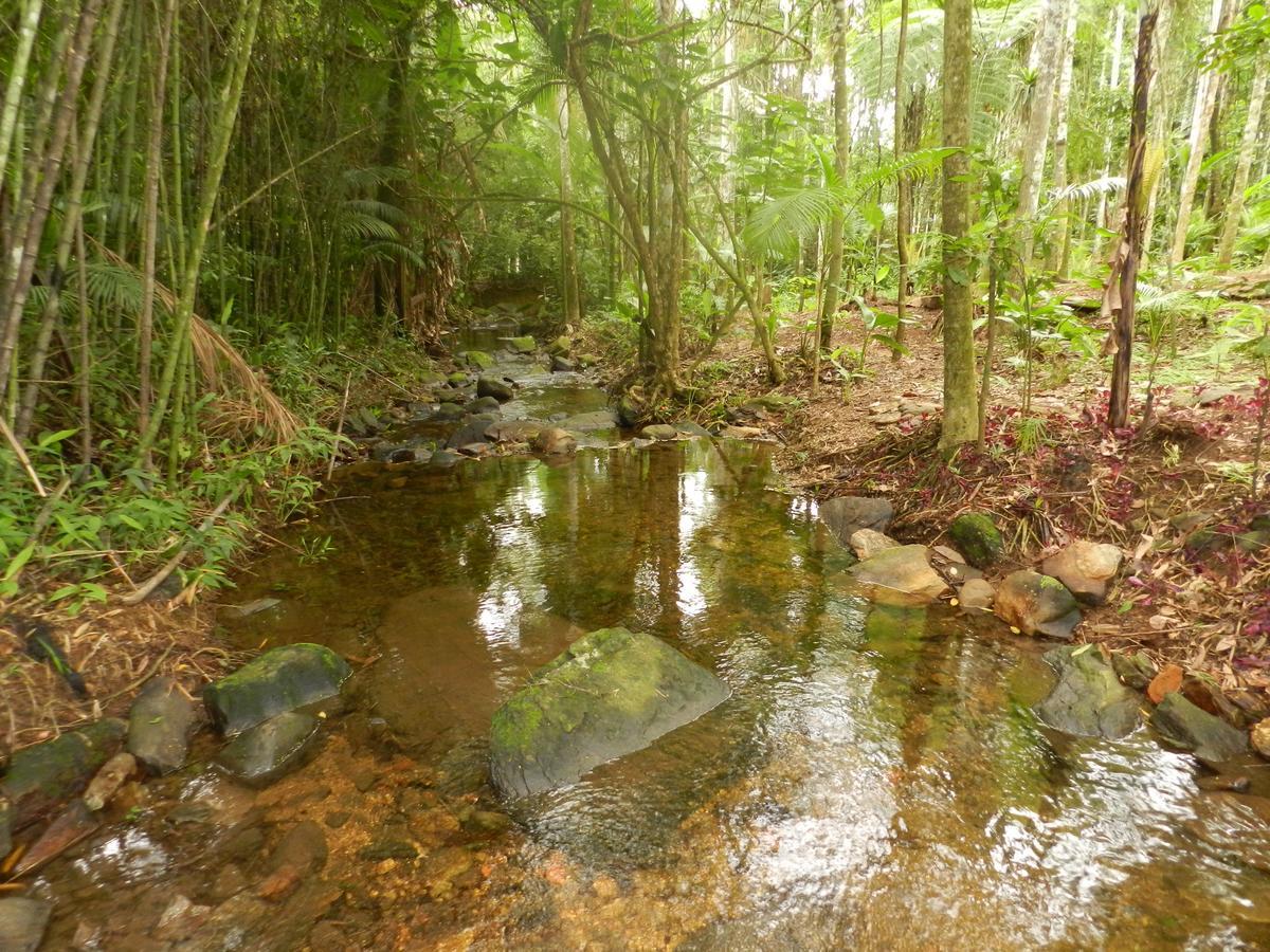 Casa Na Floresta Διαμέρισμα Penedo  Εξωτερικό φωτογραφία